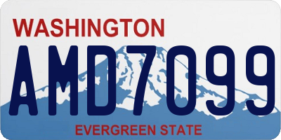 WA license plate AMD7099
