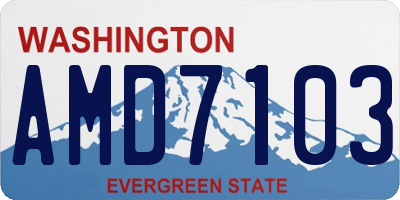 WA license plate AMD7103