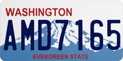 WA license plate AMD7165