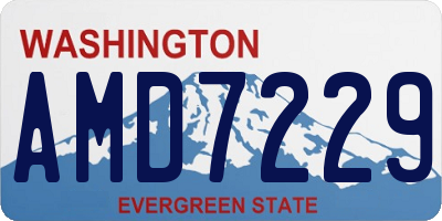 WA license plate AMD7229