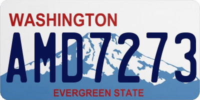 WA license plate AMD7273