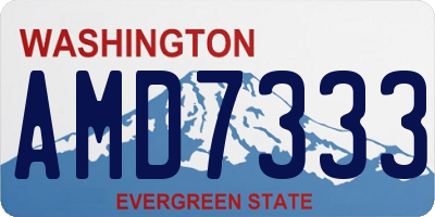 WA license plate AMD7333