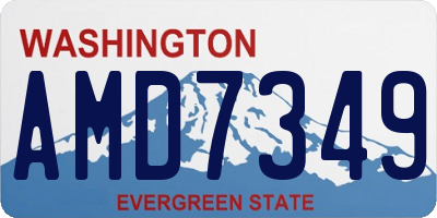 WA license plate AMD7349