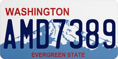 WA license plate AMD7389