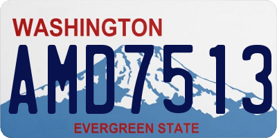 WA license plate AMD7513