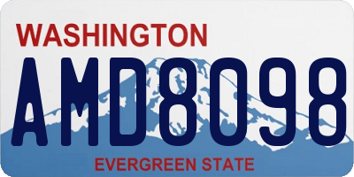 WA license plate AMD8098