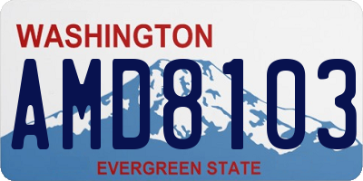WA license plate AMD8103