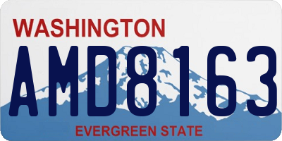 WA license plate AMD8163