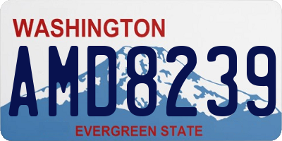 WA license plate AMD8239