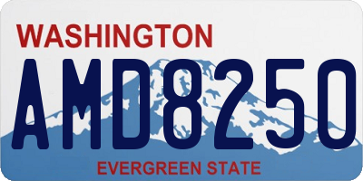 WA license plate AMD8250