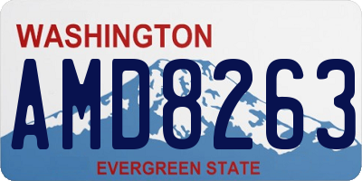 WA license plate AMD8263
