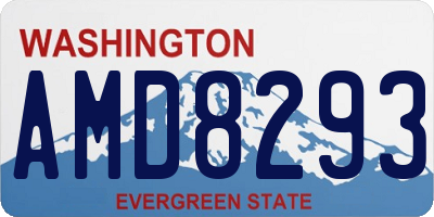 WA license plate AMD8293