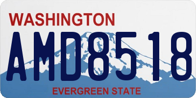 WA license plate AMD8518