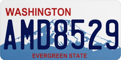 WA license plate AMD8529