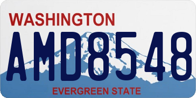 WA license plate AMD8548