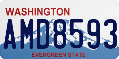 WA license plate AMD8593