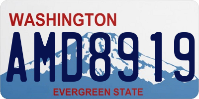 WA license plate AMD8919