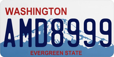 WA license plate AMD8999
