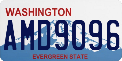 WA license plate AMD9096
