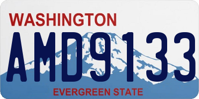 WA license plate AMD9133