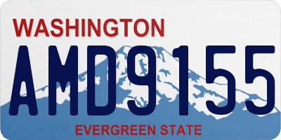 WA license plate AMD9155