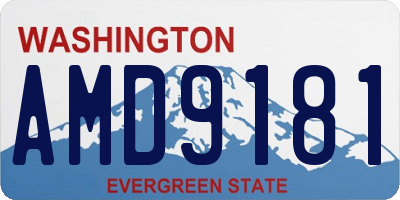 WA license plate AMD9181
