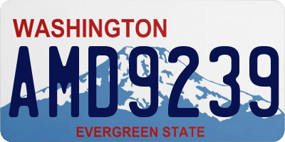 WA license plate AMD9239