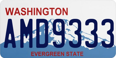 WA license plate AMD9333