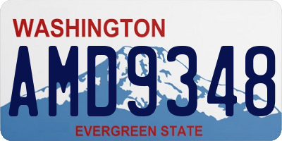 WA license plate AMD9348