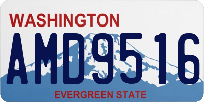 WA license plate AMD9516