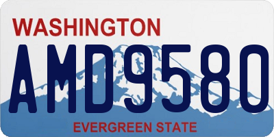 WA license plate AMD9580