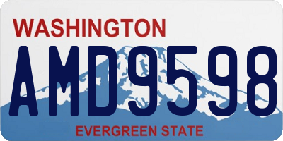 WA license plate AMD9598