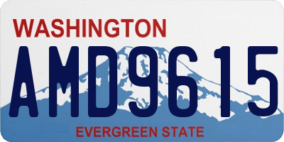 WA license plate AMD9615
