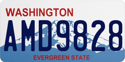 WA license plate AMD9828