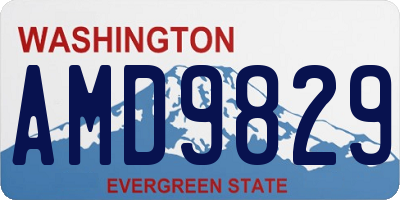 WA license plate AMD9829