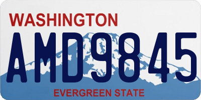 WA license plate AMD9845
