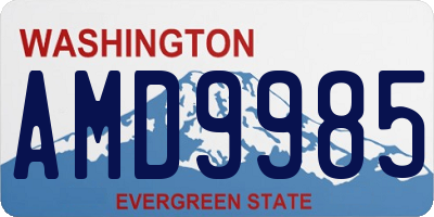 WA license plate AMD9985
