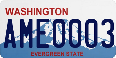 WA license plate AME0003