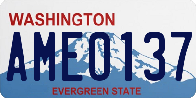 WA license plate AME0137