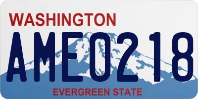 WA license plate AME0218