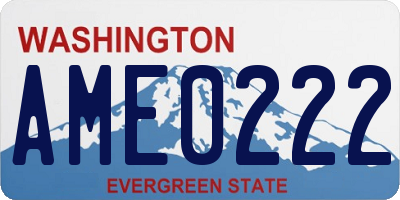 WA license plate AME0222