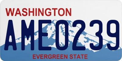 WA license plate AME0239