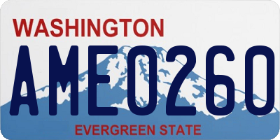 WA license plate AME0260
