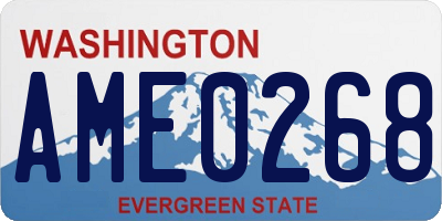 WA license plate AME0268