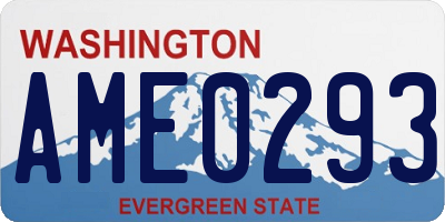 WA license plate AME0293