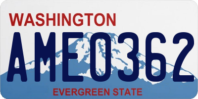 WA license plate AME0362