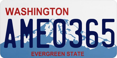 WA license plate AME0365