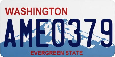 WA license plate AME0379