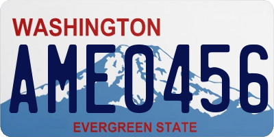 WA license plate AME0456