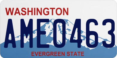 WA license plate AME0463